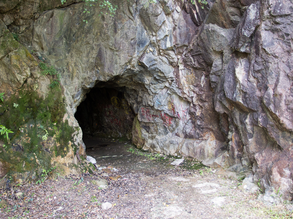 PA221226.jpg