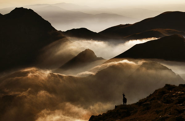 foggy-mountain-top.jpg