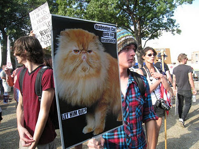 best-protest-signs-2011-34.jpg