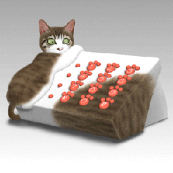 neko-phone.gif