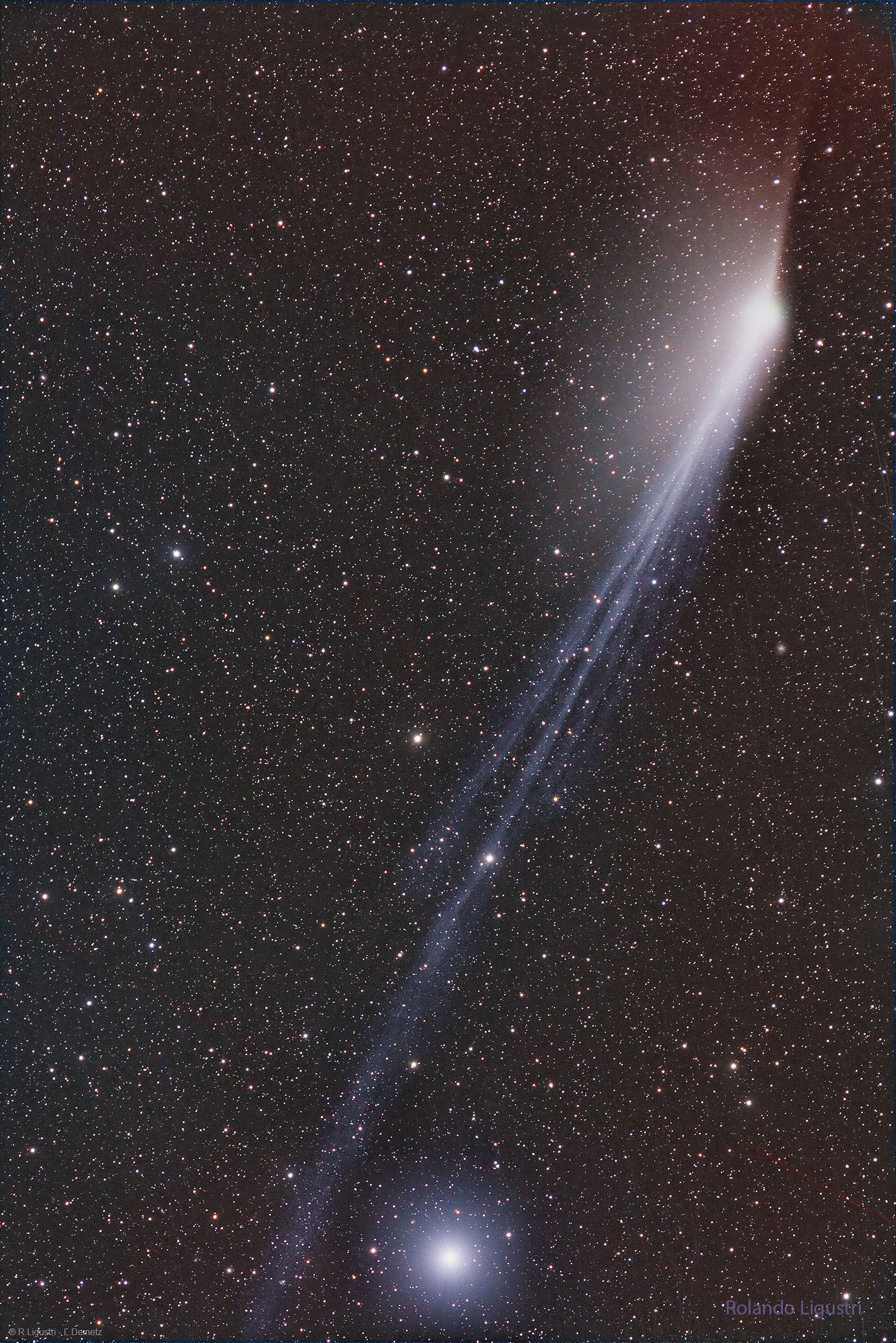 Comet12P_Ligustri_1601.jpg