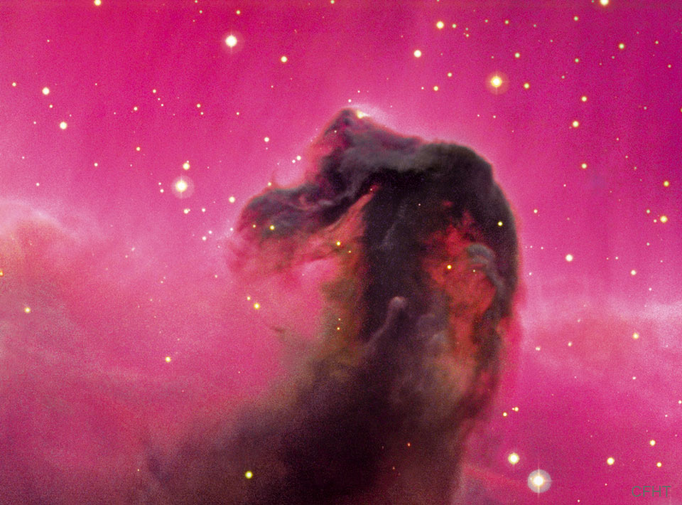 Horsehead_CFHT_960.jpg