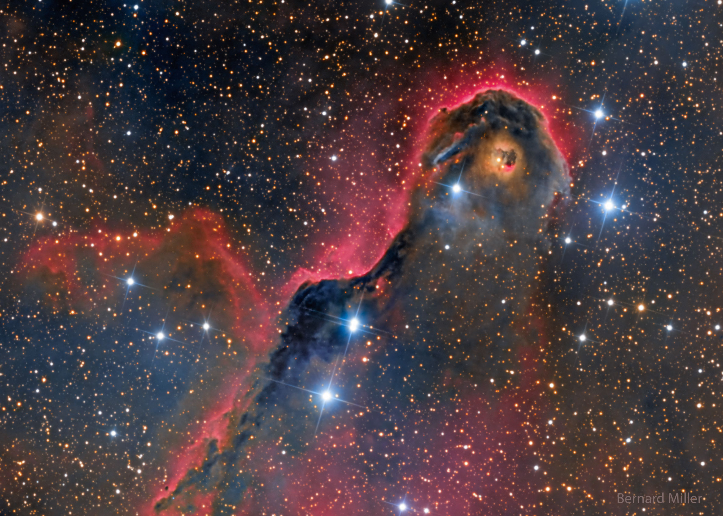 IC1396_Miller_2370.jpg