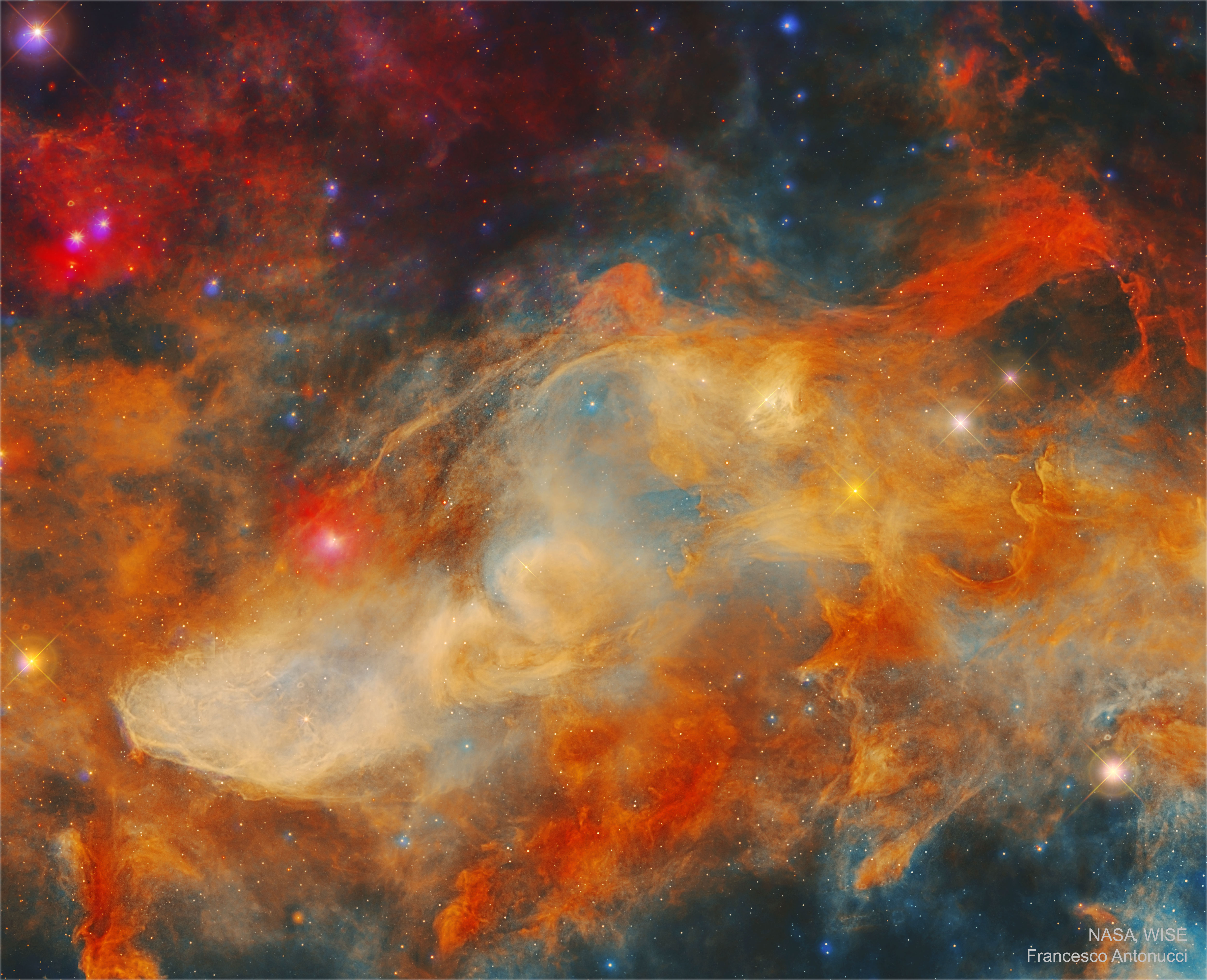 IC4592_WiseAntonucciR_5000.jpg