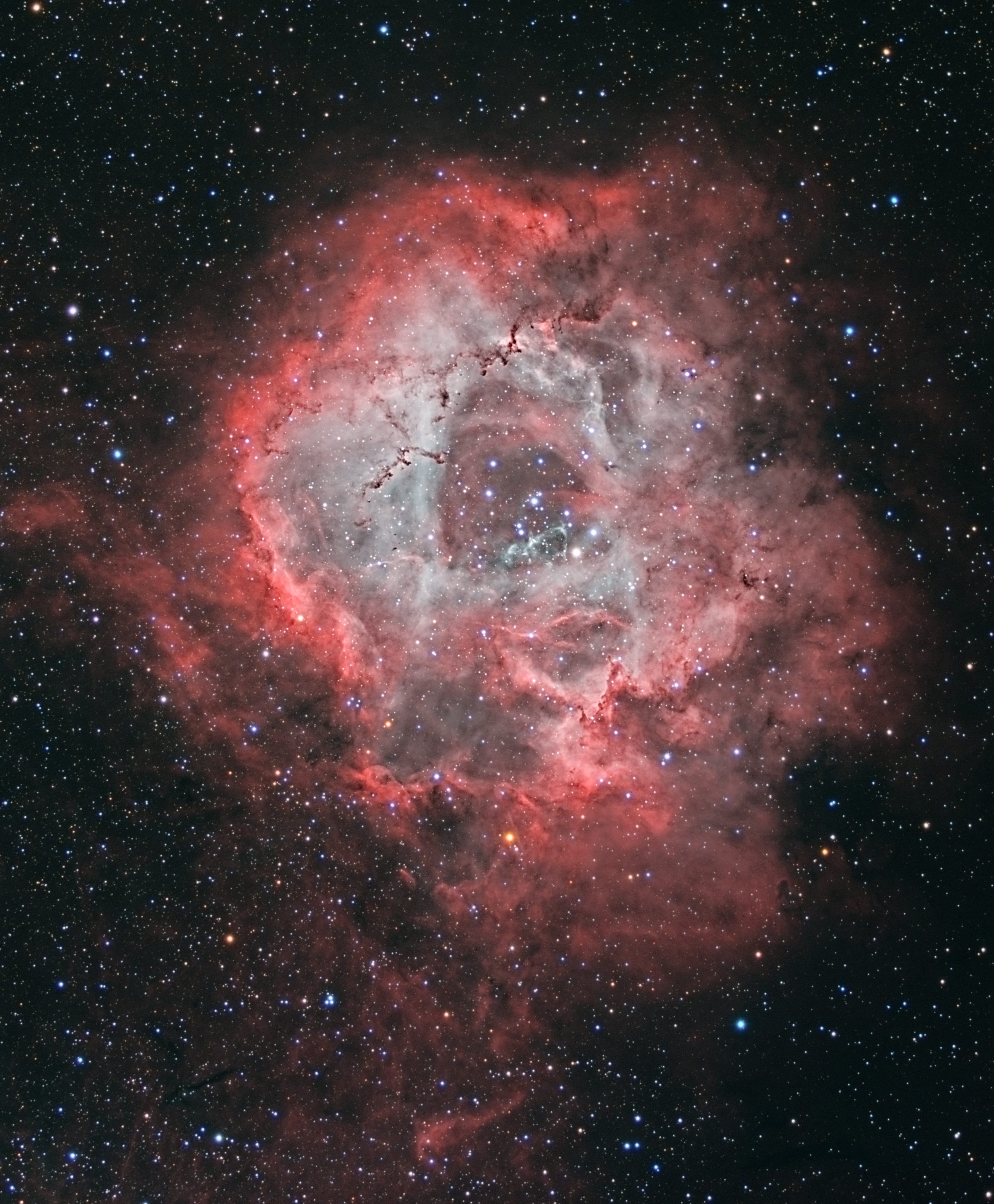 JMD_Rosette_Rotated.jpg