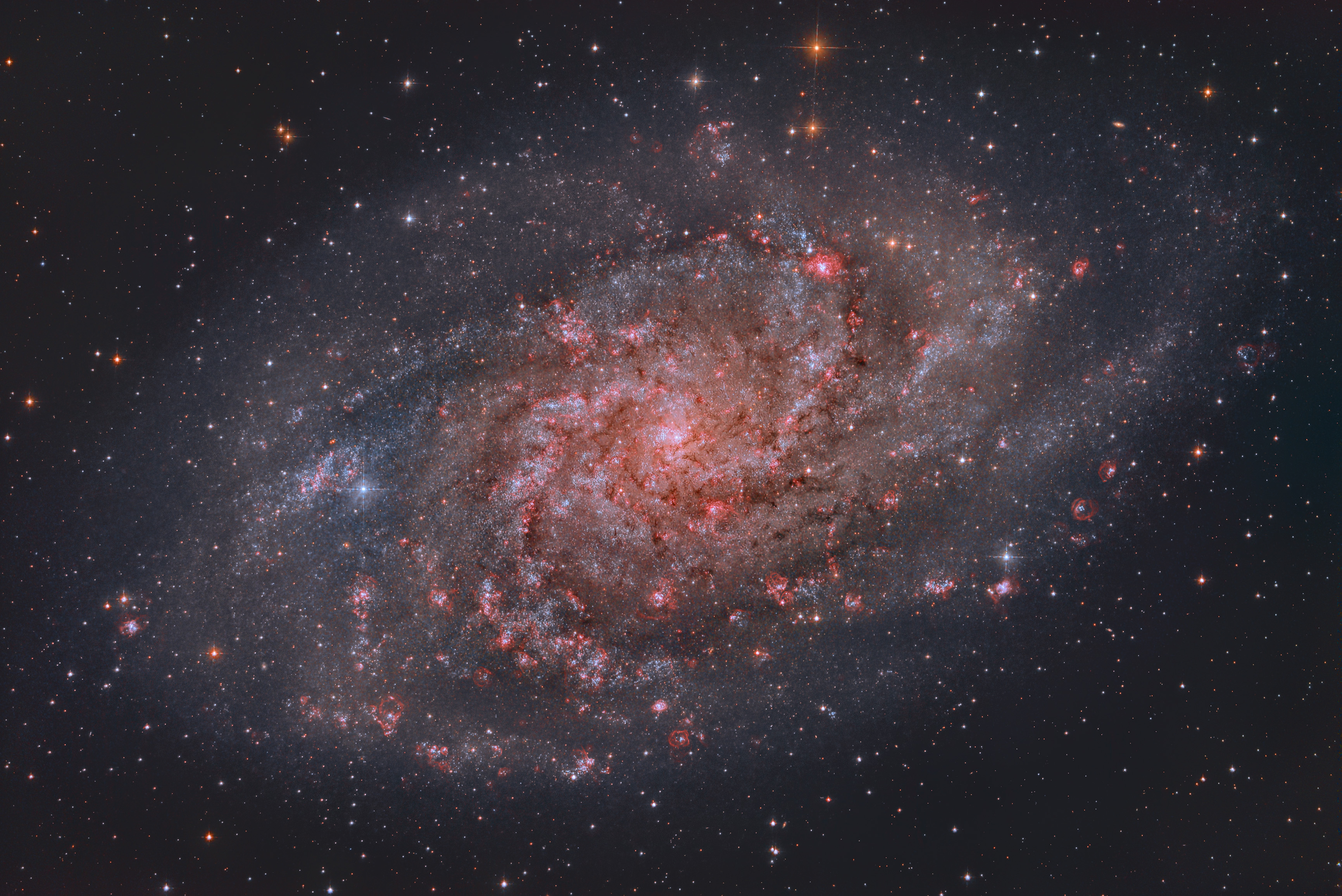 M33_Triangulum.jpg