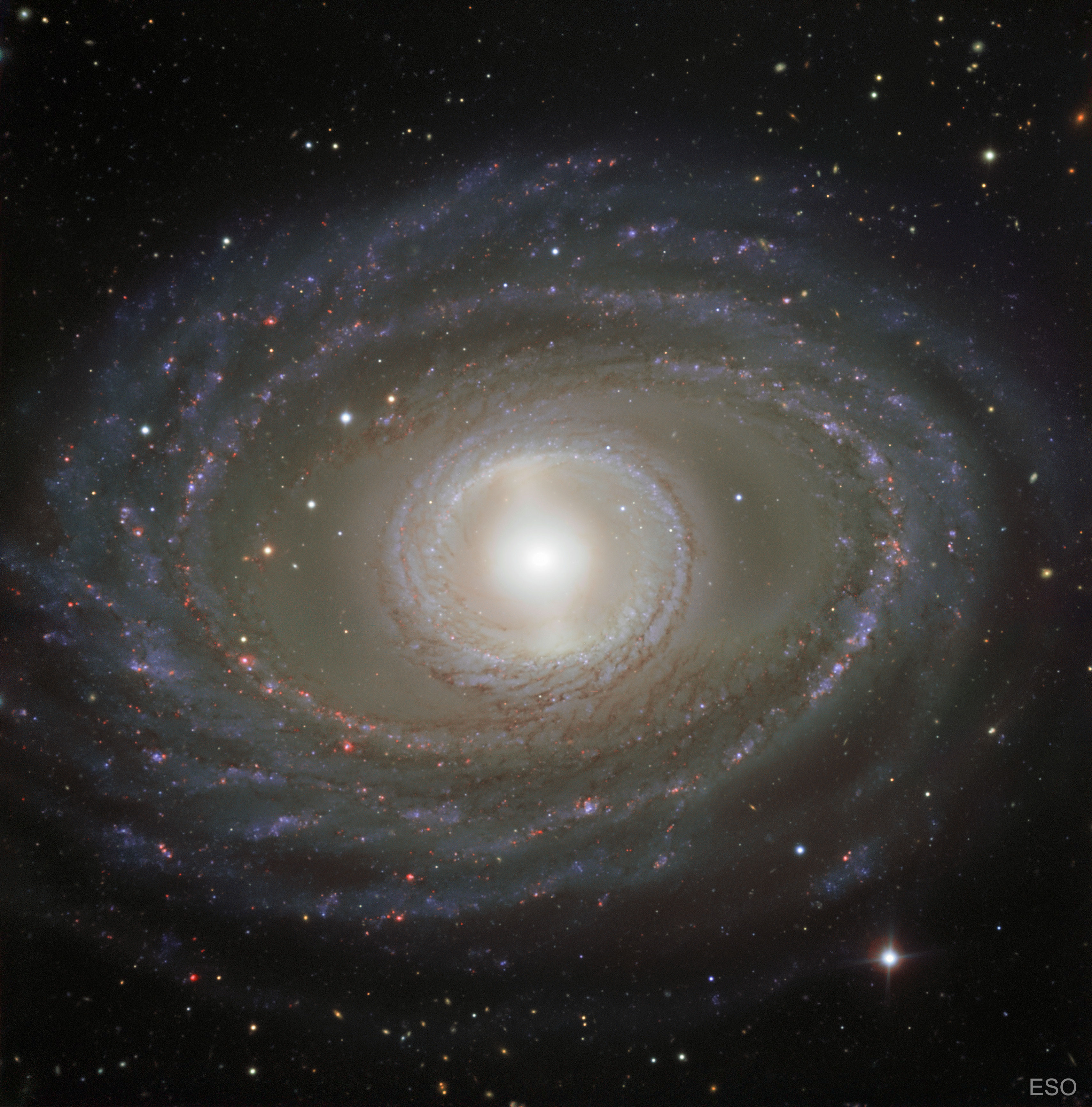 NGC1398_ESO_3416.jpg