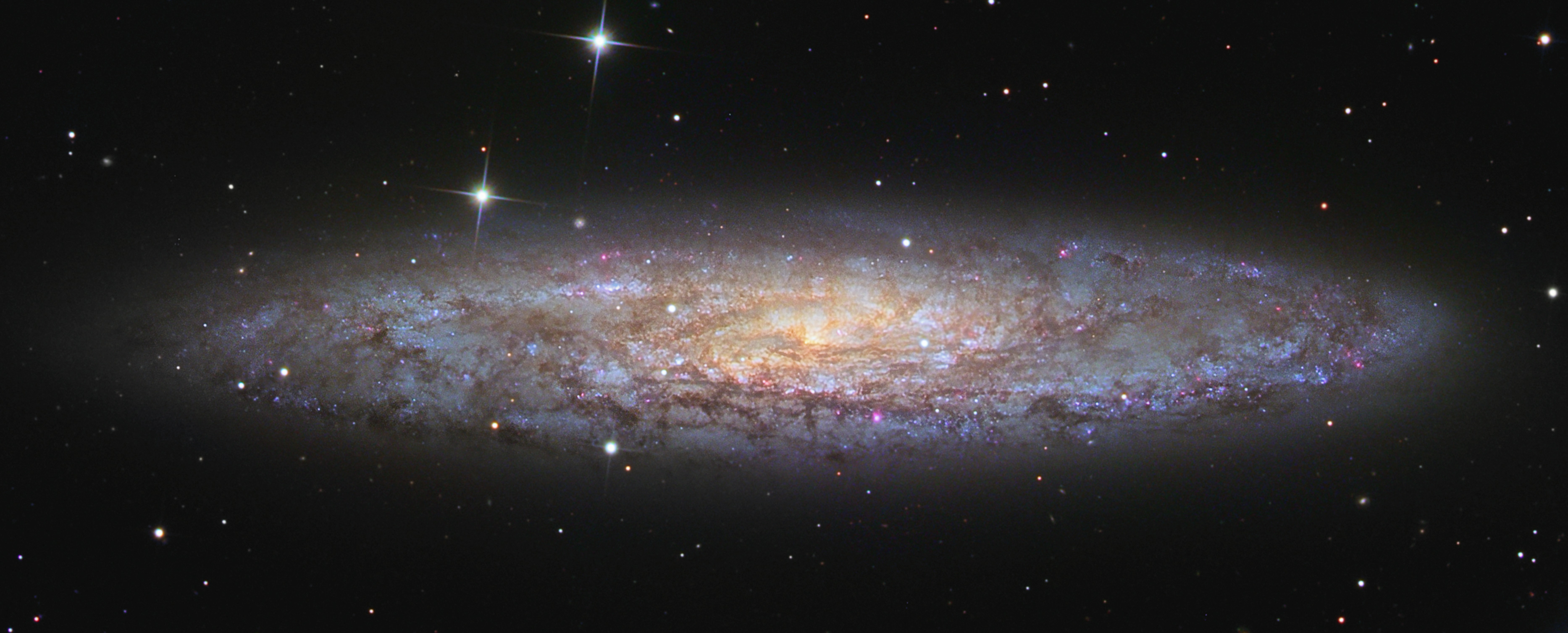 NGC253-Wide_CancelliMortfield.jpg