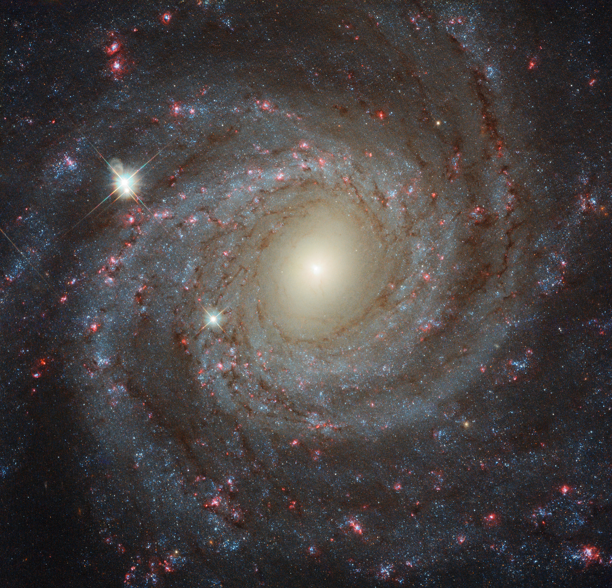 NGC3344_hst2048.jpg