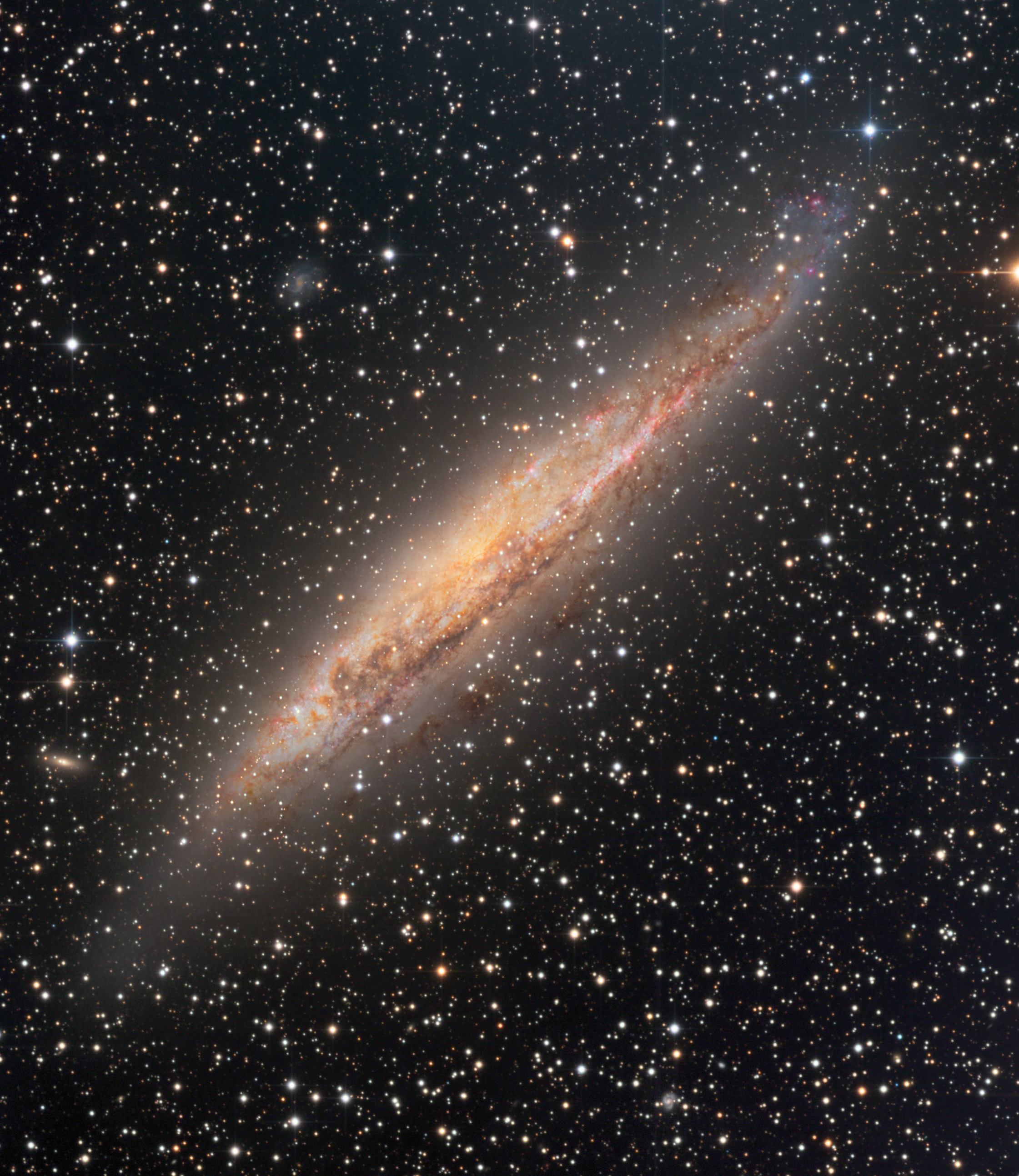 NGC4945-Dietmar-Eric-crop.jpg