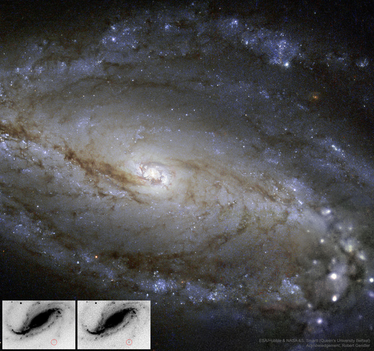 NGC613_HubbleBuso_1280.jpg