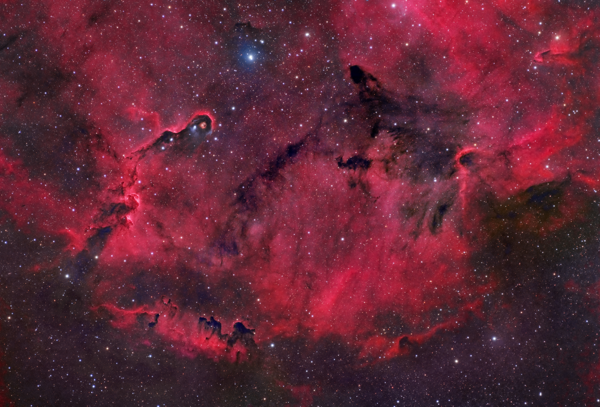 ic1396ASI294large.jpg