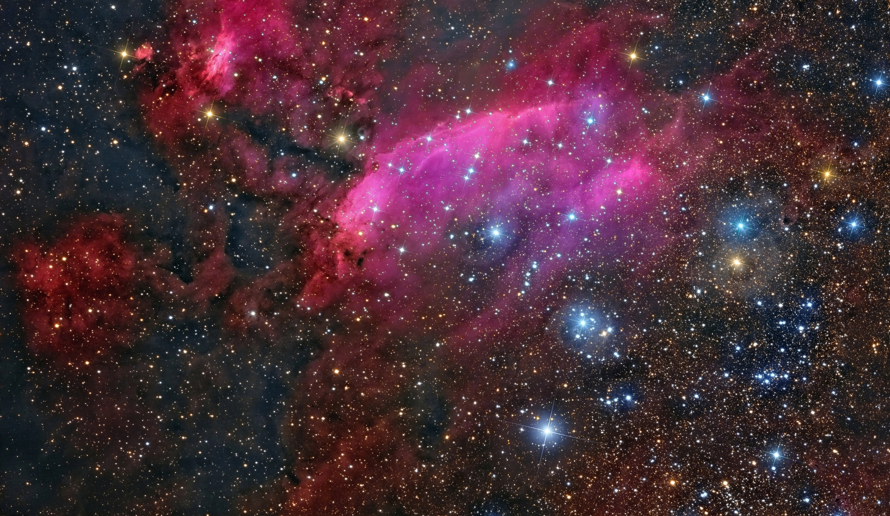 ic4628_colombari_1853.jpg