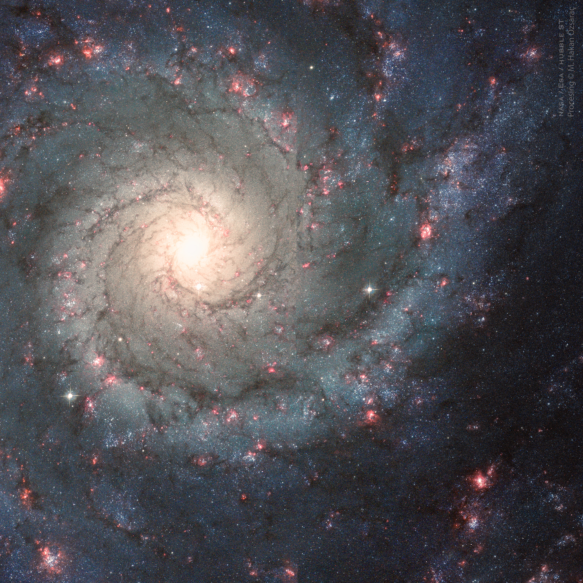 m74_APOD.jpg