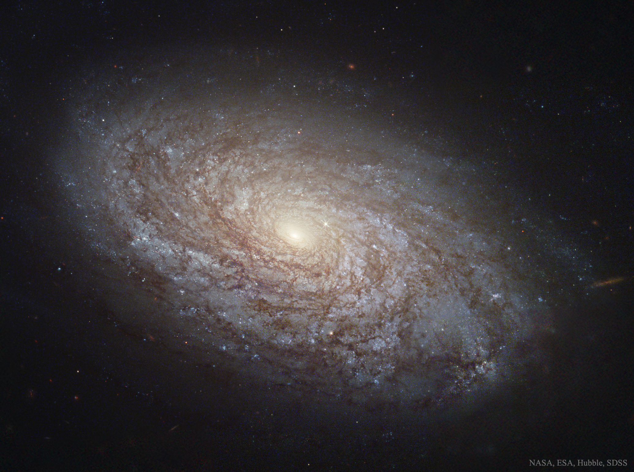 ngc4414_HubbleSdss_2069.jpg